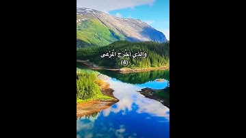 سبح بإسم ربك الأعلى 💛💚حالات واتس اب  قرآن كريم