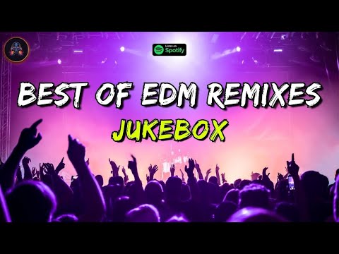Best Of EDM Remixes Jukebox DJ Gotta