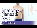 Anatomical Planes & Axes Explained