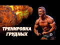 Тренировка груди / Почему я не плаваю?