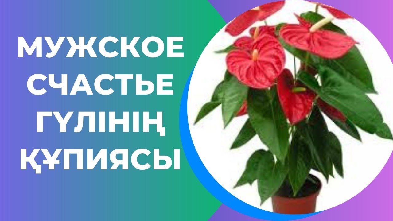ит стиліндегі позициядағы жалаңаш қыздар Жалаңаш Ольга Машная