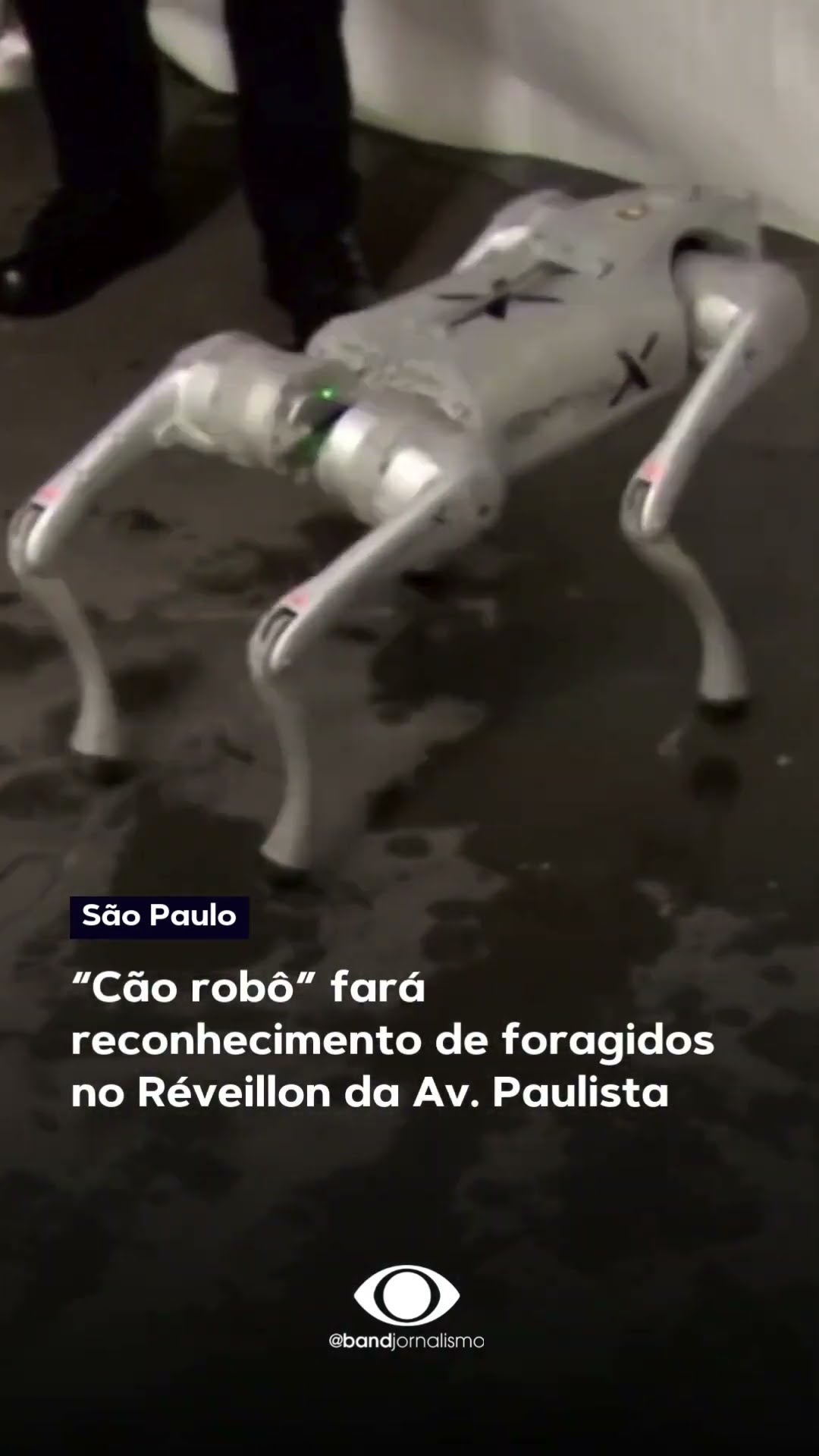 “Cão robô” fará reconhecimento de foragidos no Réveillon da Av. Paulista #shorts