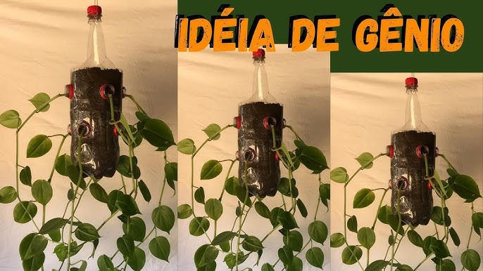 🌱Como fazer uma plantação instantânea🌿(automática)🌲