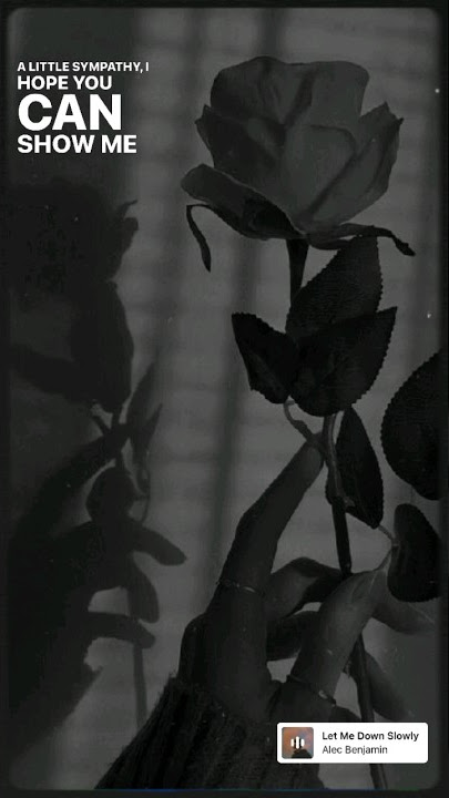 Lagu barat galau (alec benjamin, alessia cara) #alecbenjamin #alessiacara #music #song #liriklagu