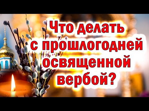 ТОЛЬКО СЕГОДНЯ! Что делать с прошлогодней вербой? Куда девать вербу. С Вербным воскресеньем!