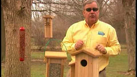 Bird Man Mel - Attracting Woodpeckers