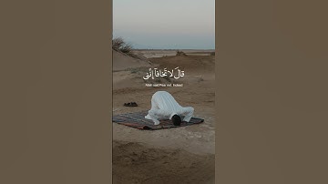 { قال لا تخافا إنني معكما اسمع و أرى } ☘️✨ || سورة طه ☘️✨ || تلاوة القارئ عبدالرحمن مسعد ☘️✨