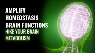 Homeostatic Regulation - Amplify Homeostasis Brain Functions