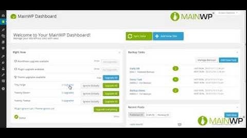 How to update Themes