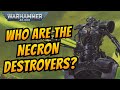 The necron destroyers i warhammer 40k lore