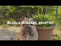 Vlog blabla skincare recettes