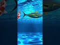 猫向け3Dゲーム 🎮 Cat TV 🐱 [Aquarium Fish] | 3D HD フルエンターテインメント