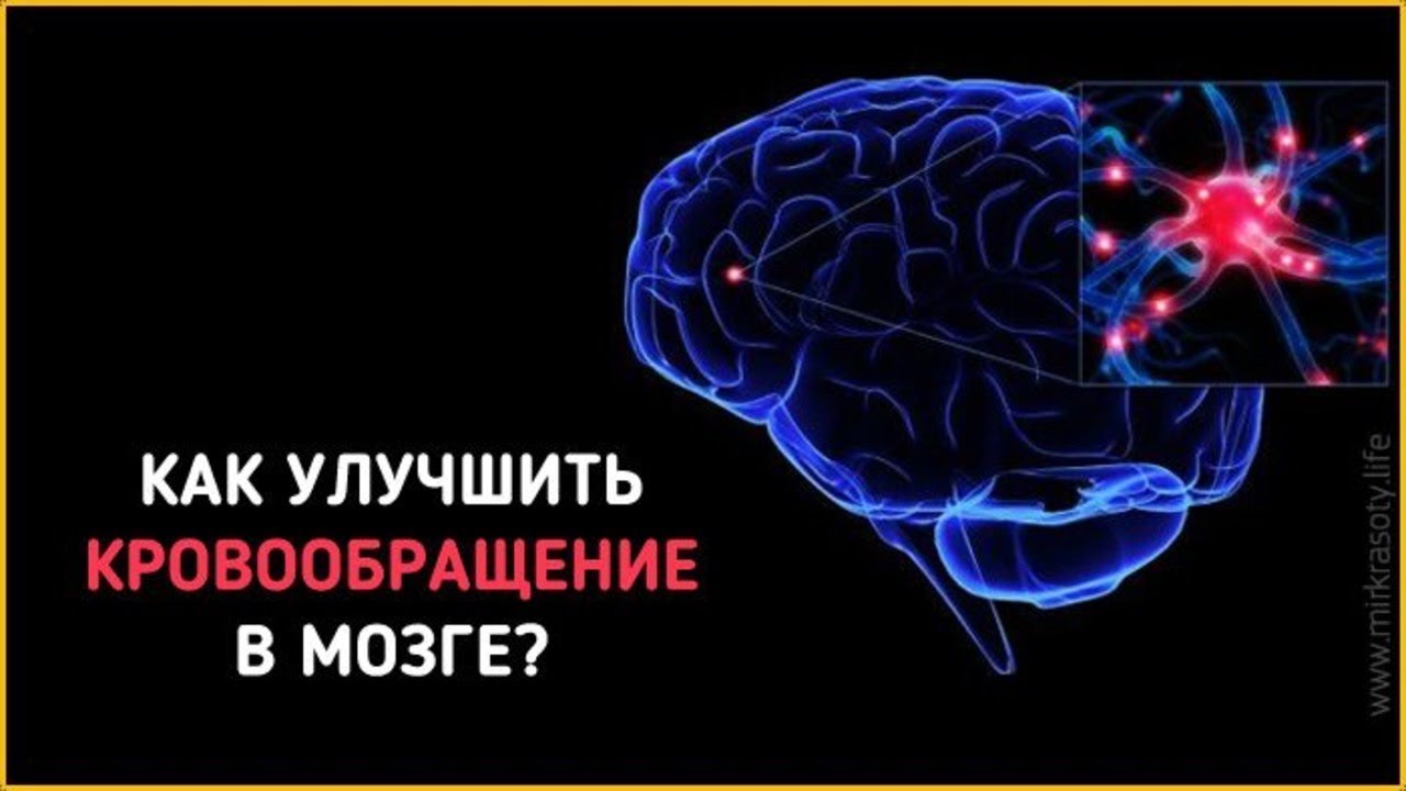 Улучшится кровообращение. Кровообращение головного мозга. Для улучшения мозгового кровообращения. Улучшаем кровообращение мозга. Мозговой кровоток.