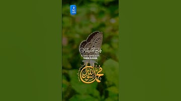 قرآن كريم #اكسبلور #المصحف #دويتو #العظماء #صباح_الخير #الرحمن #تيك_توك