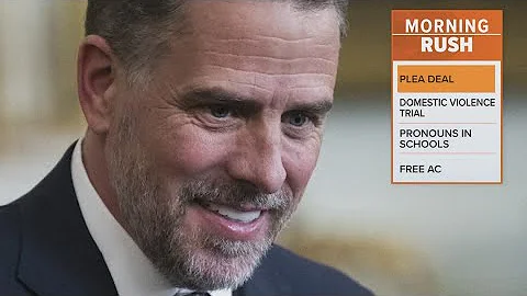Republican lawmakers disagree with Hunter Biden plea deal