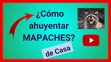 ¿El vinagre ahuyenta a los mapaches?