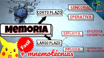 ¿Cuál es el tipo de memoria más corta?