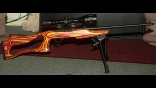 My Custom Ruger 10 22 with prices