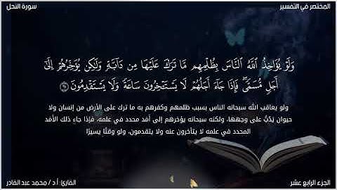 ما تيسر من سورة النحل بصوت د محمد عبد القادر