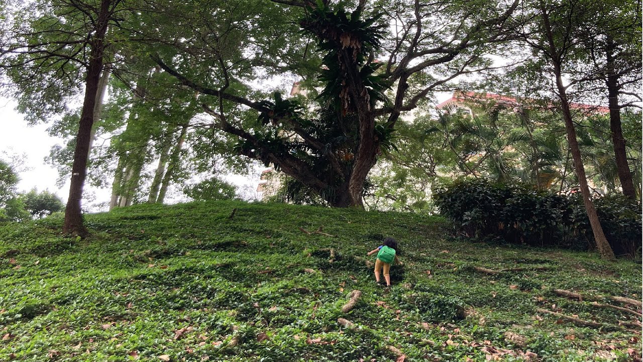 The Unschooling of an FS Coach