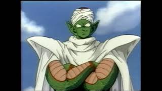 Piccolos Pandemic Lessons