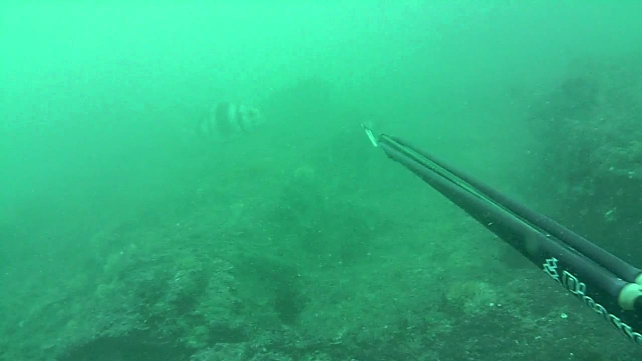 Picasso Magnum Carbon Rail - In Action