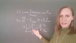 Computational Modeling of Neuronal Plasticity: 1.1