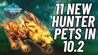 11 Unique Hunter Pet Tames In 10.2 | World of Warcraft | Dragonflight