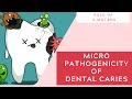 How does dental caries occur  pathogenicity of s mutans