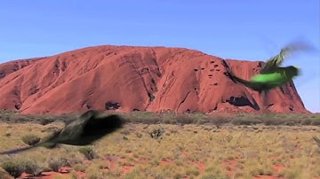 Exclusive: Soft Grid - Herzog on a bus