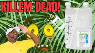 Professional Pest Control at Home 🏠 | Demand CS Insecticide (Long-Lasting Bug Killer Review)