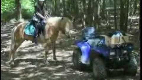 Clicker Training Horses on the Trail