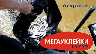 ЛОВЛЯ КРУПНОЙ УКЛЕЙКИ В КОМПАНИИ С ОТЦОМ! СУПЕР ОТДЫХ, НА ВЕСЕННЕЙ РЫБАЛКЕ! МОРЕ ПОЗИТИВА!