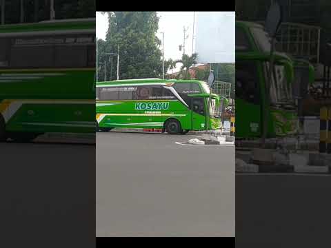 Memahami Seluk Beluk Bisnis Les Bus Pariwisata MB: Peluang, Tantangan, dan Strategi Sukses