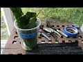 THE FASTEST AND THE MOST EFFECTIVE WAY TO PROPAGATE EPIPHYLLUM OR ORCHID CACTUS .