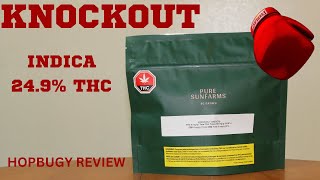 Pure Sunfarms Knockout  24.9 % THC Indica Cannabis Review screenshot 5