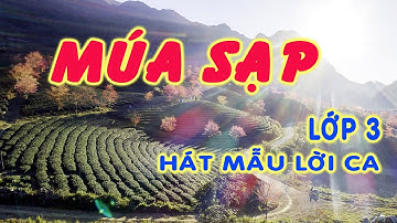 Múa sạp hát mẫu | Âm nhạc lớp 3 | Hà Lực |