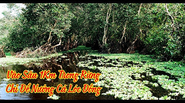[ Người Rừng ] Vào sâu trong rừng hơn 1 Km để nướng gần 5 Kg cá lóc | ĐẤT RỪNG U MINH