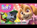 Rocky S Mighty Pup Recycling Lesson Skye S Music Party PAW Patrol Music Cartoons For Kids