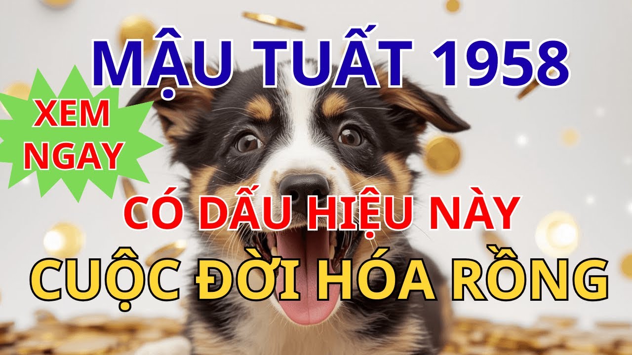 Tử Vi Mậu Tuất 1958: 7 Điềm Lành Chứng Tỏ Thần Phật Che Chở, Nạn Tai Tự Qua - Phúc Lộc Đầy Nhà