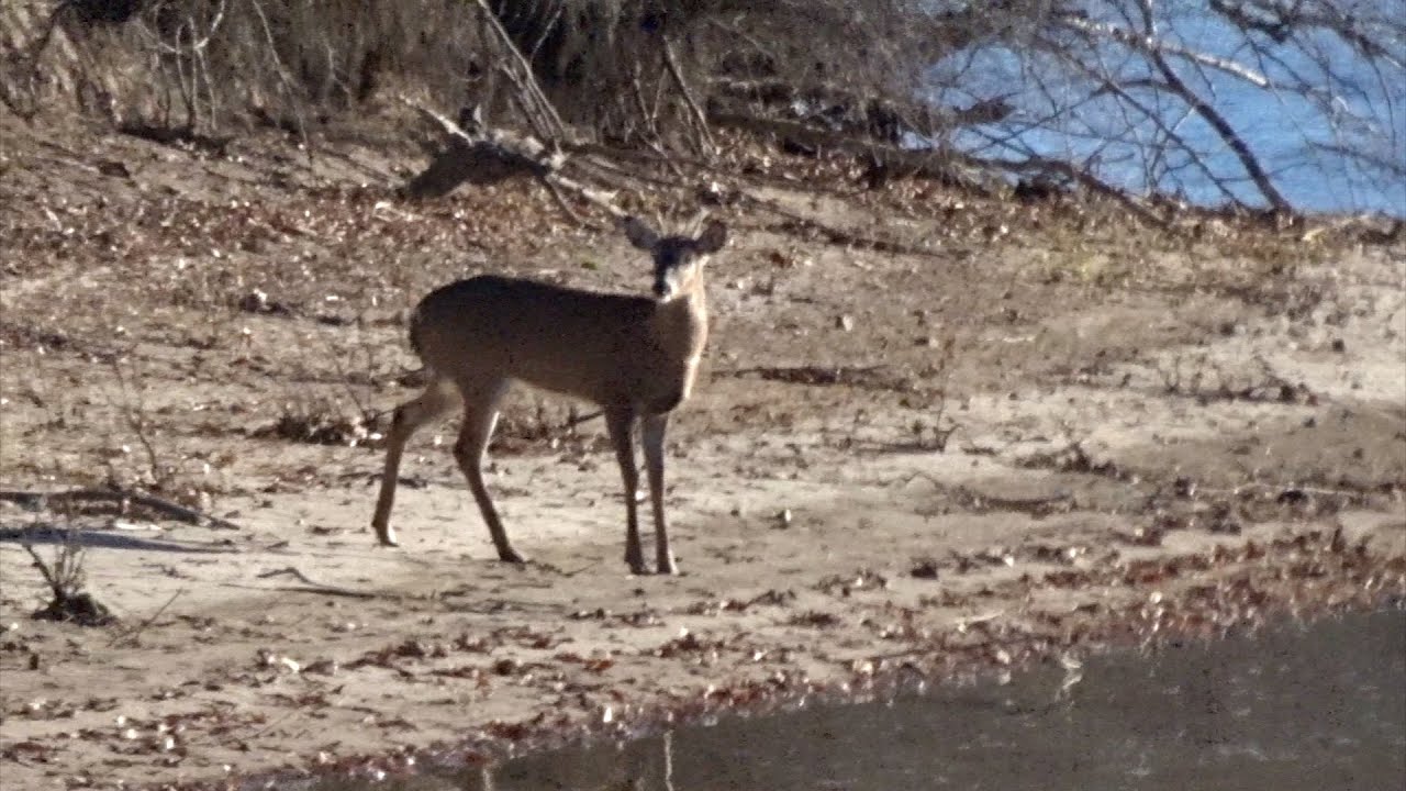 День 3: Общественные земли Миссури