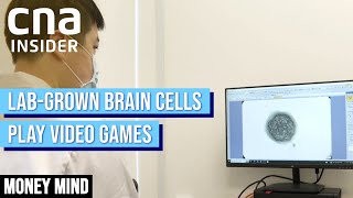 Could Neurons + Silicon Help Treat Dementia? | Money Mind | AI