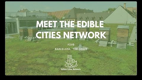 Introducing Project Partner: FSUB (II)