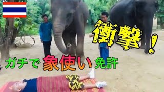 タイで象使い免許のテストを受けてみた Youtube タイで象使い免許のテストを受けてみた Youtube