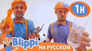 Песня То или Это | Изучай этот мир вместе с Блиппи | Обучающие видео для детей | Blippi Russian