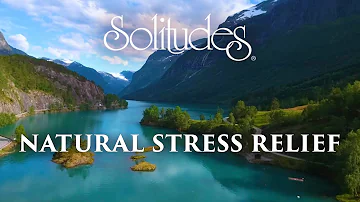 1 hour of Stress Relief Music: Dan Gibson’s Solitudes - Natural Stress Relief (Full Album)