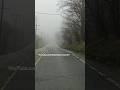 Fog on Canadian Road 2026. #shamshermannbti