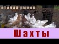 Птичий рынок. Шахты. [06.11.2022]