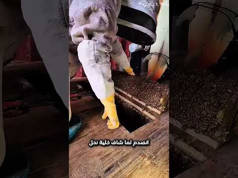 هذا الرجل قرر يربي نحل في منزله وبعدها هذا اللي صار   