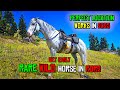RDR2 - Get the Rarest Horse Few Spotted Appaloosa for FREE Early in Chapter 2!